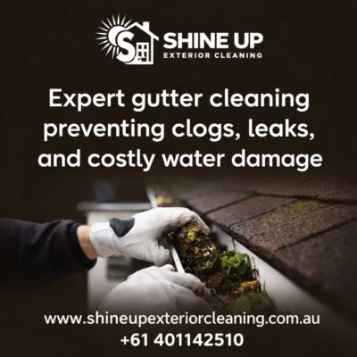 Gutter Cleaning Glen Waverley
