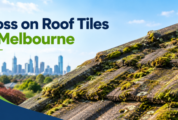 Moss on Roof Tiles in Melbourne How to Remove It Safely