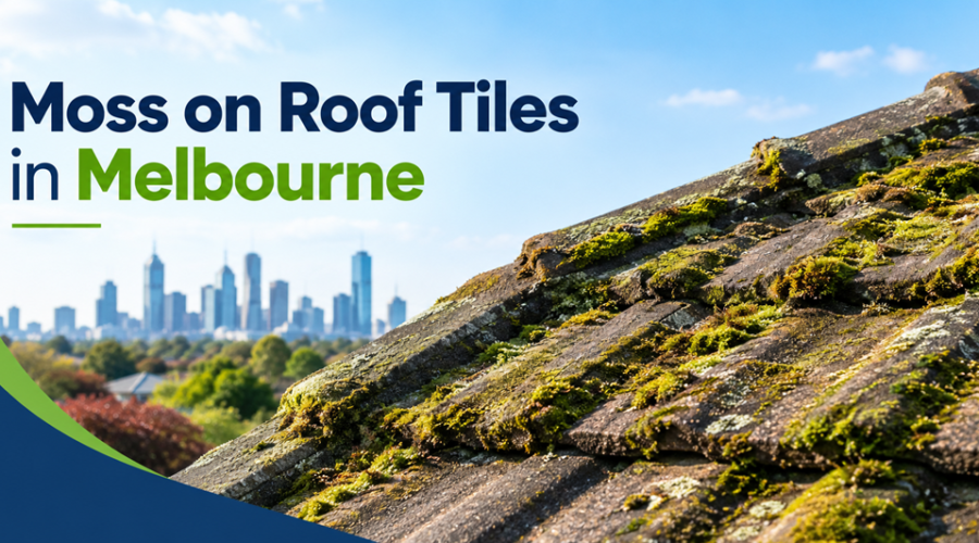 Moss on Roof Tiles in Melbourne How to Remove It Safely