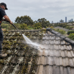 Roof Cleaning Melbourne